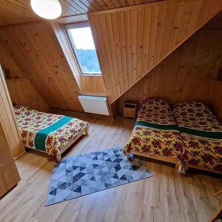 Проживание в семье Stachoniowka