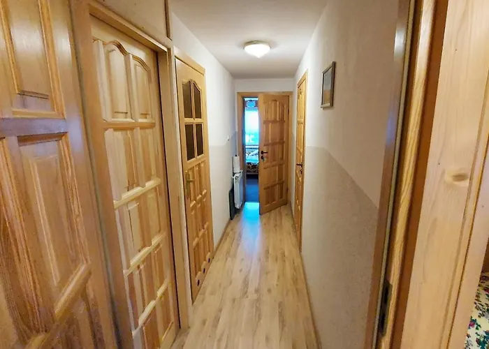 Проживание в семье Stachoniowka