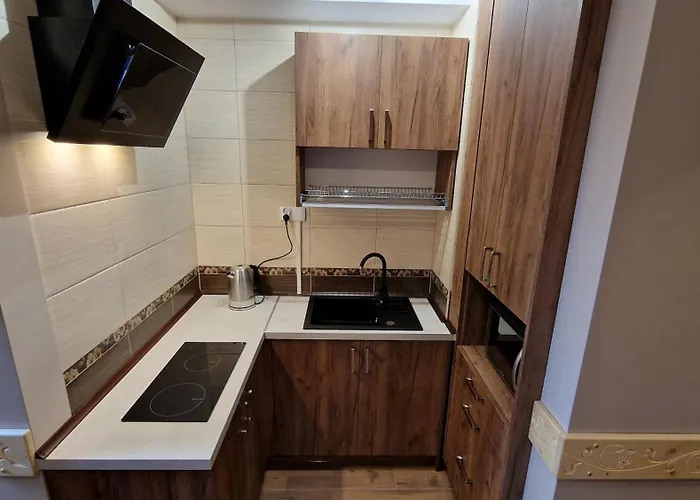 Проживание в семье Stachoniowka