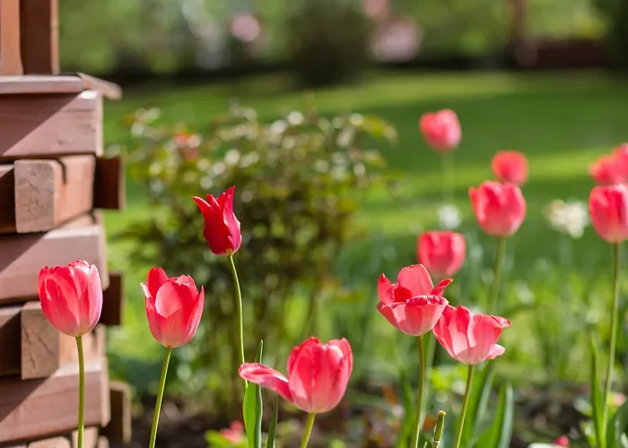Stachoniowka * Закопане