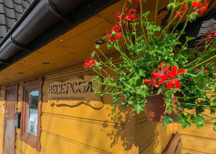 Проживание в семье Stachoniowka