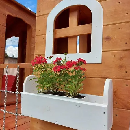 Stachoniowka ホームステイ *