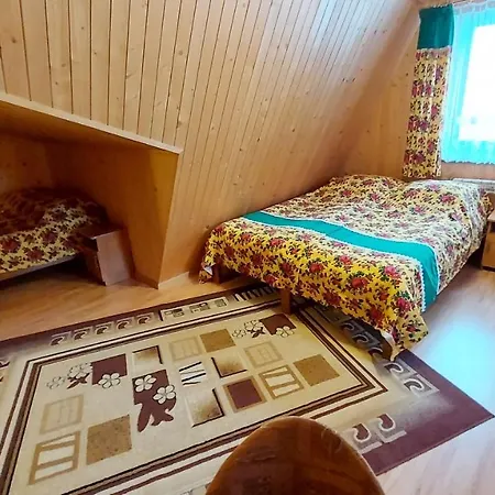 ホームステイ Stachoniowka