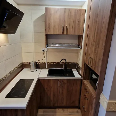 ホームステイ Stachoniowka